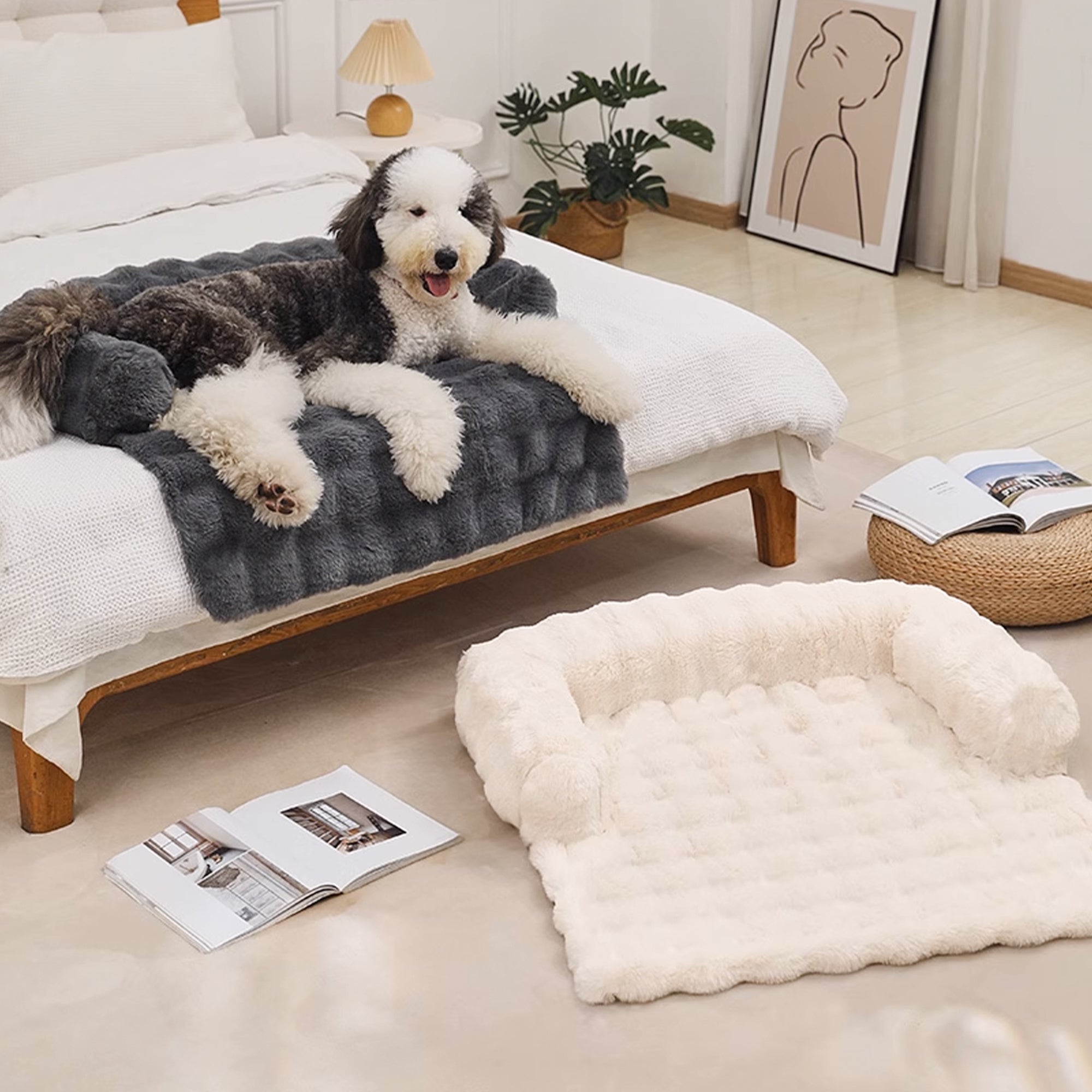 Hund auf grauer, flauschiger Haustiermatte auf Bett, beige Hundebett auf Boden, modernes Schlafzimmer.