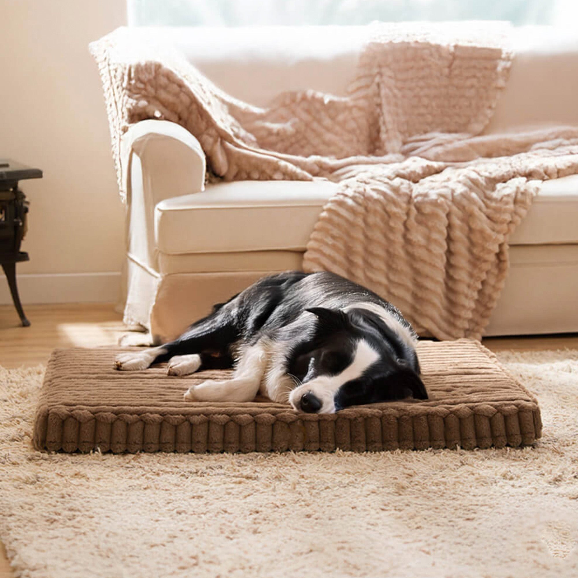 Hund schläft auf braunem orthopädischen Haustierbett aus Kunstfell vor beigem Sofa.