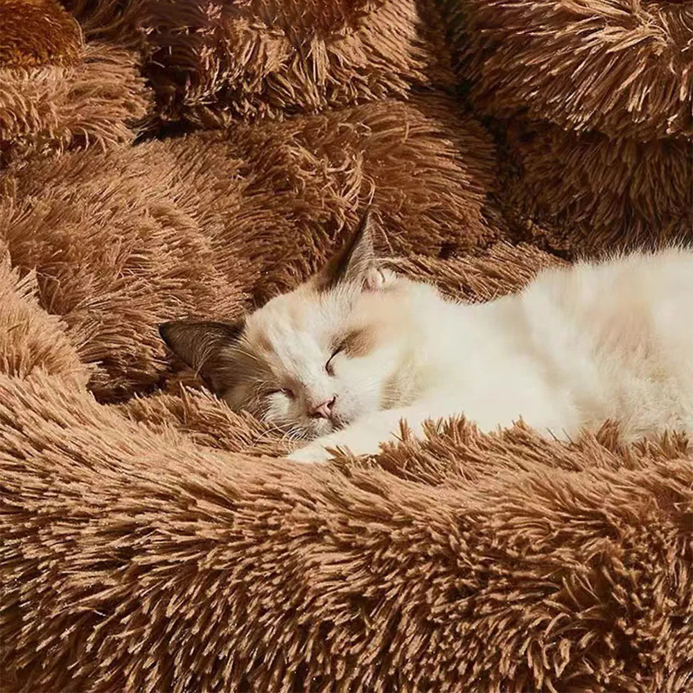 Kuscheliges Hundebett in Braun, ideal für Haustiere. Weiches, plüschiges Material bietet Komfort und Wärme. Perfekt für Hunde und Katzen.