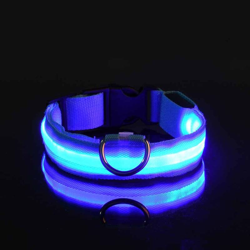 Leuchtendes LED-Hundehalsband in Blau, ideal für Sicherheit bei Nacht. Verstellbar, wasserfest, langlebig. Perfekt für Spaziergänge im Dunkeln.