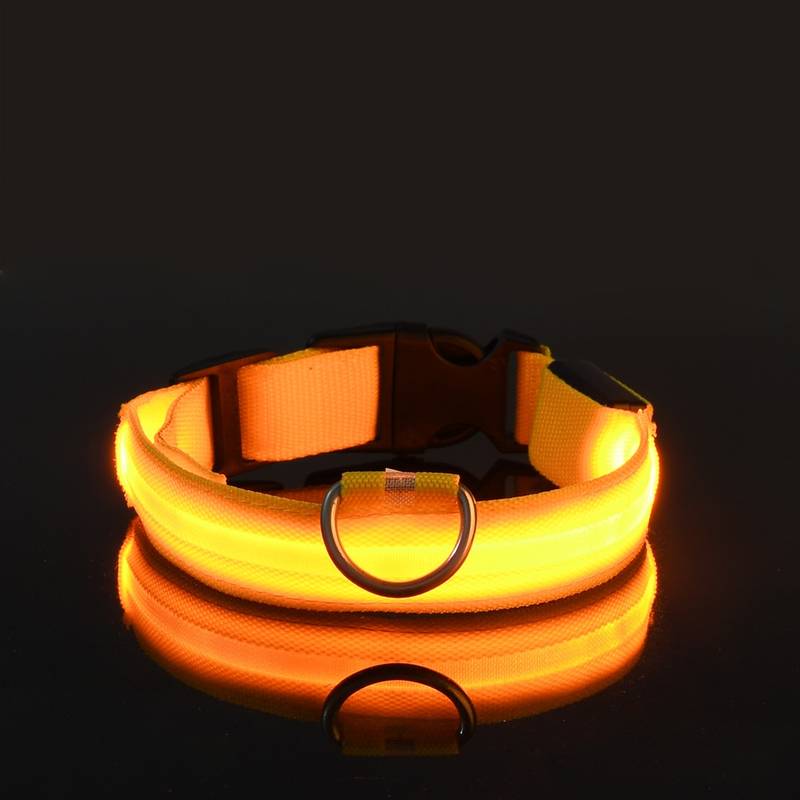Leuchtendes LED-Hundehalsband in Gelb für Sicherheit bei Nacht. Verstellbar, langlebig, ideal für Spaziergänge. Hundezubehör, reflektierend.