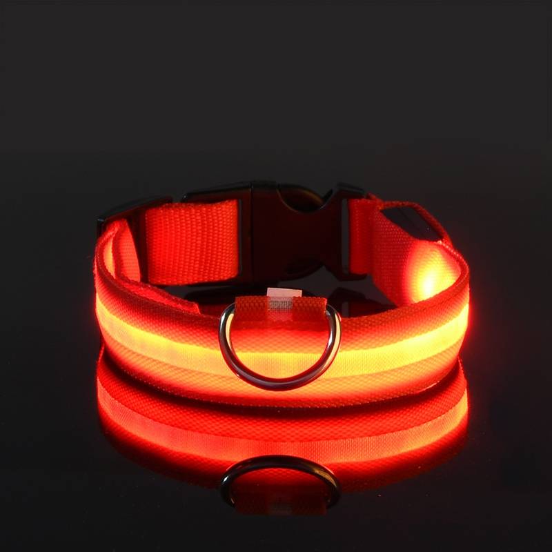 Leuchtendes LED-Hundehalsband in Rot, ideal für Sicherheit und Sichtbarkeit bei Nacht. Verstellbar, langlebig, wasserfest. Perfekt für Spaziergänge.