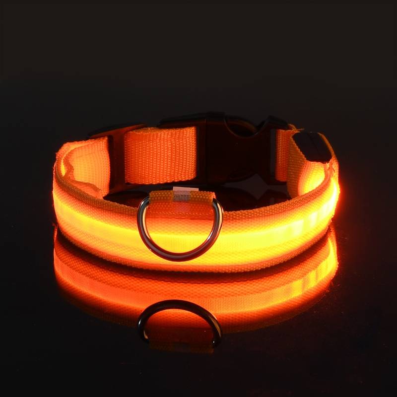 Leuchtendes LED-Hundehalsband in Orange, ideal für Sicherheit bei Nacht. Verstellbar, wasserfest, langlebig. Perfekt für Spaziergänge im Dunkeln.