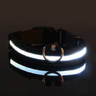 Leuchtendes LED-Hundehalsband, reflektierend, verstellbar, ideal für Nachtspaziergänge. Sicherheit für Hunde, langlebig und wasserfest.