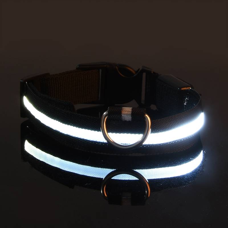 Leuchtendes LED-Hundehalsband, reflektierend, verstellbar, ideal für Nachtspaziergänge. Sicherheit für Hunde, langlebig und wasserfest.