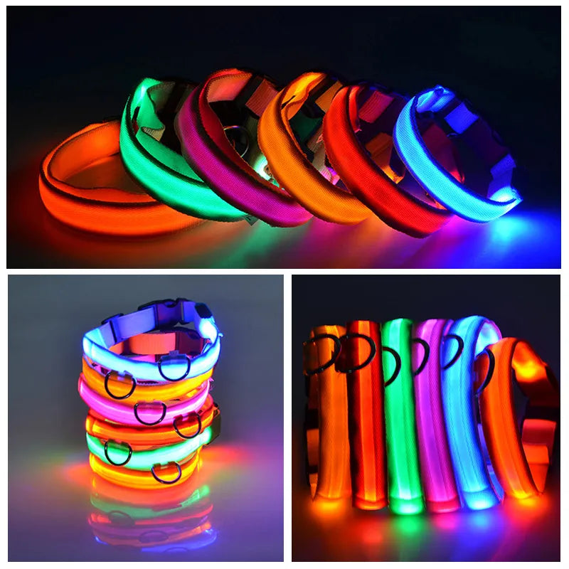 LED-Hundehalsband in leuchtenden Farben für Sicherheit bei Nacht. Verstellbar, wasserdicht, langlebig. Perfekt für Spaziergänge im Dunkeln.