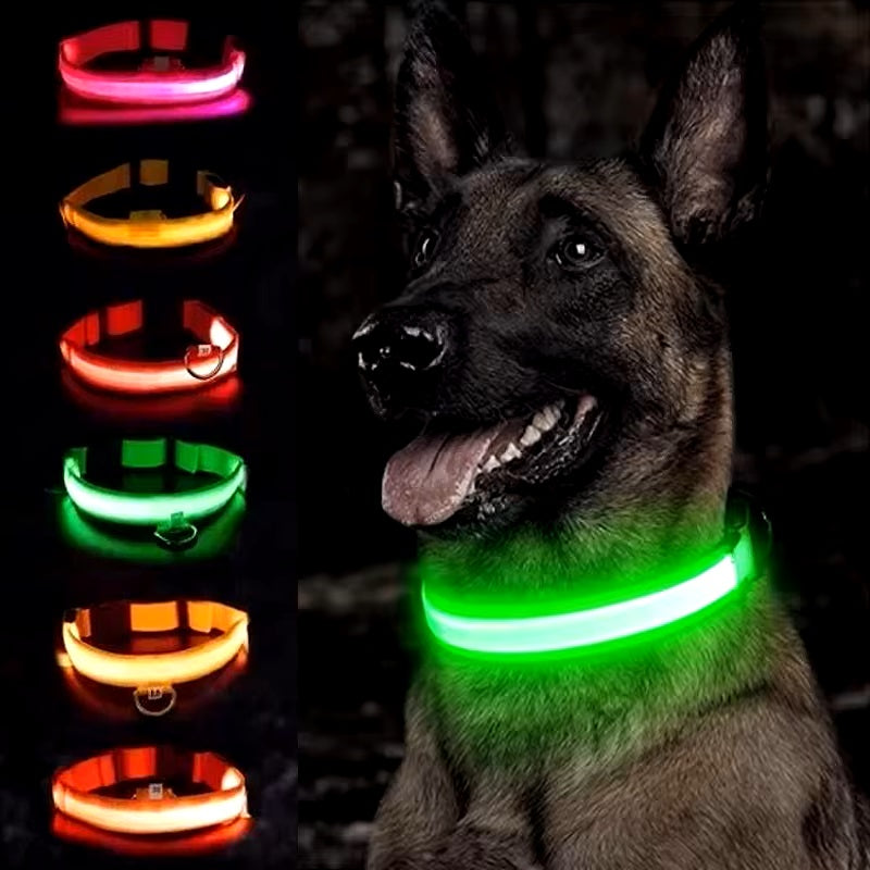 LED-Hundehalsband in leuchtendem Grün, ideal für Sicherheit bei Nacht. Verstellbar, wasserdicht und langlebig. Perfekt für Spaziergänge im Dunkeln.