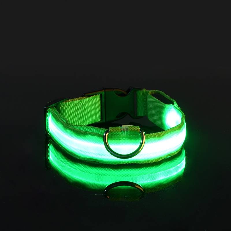 Leuchtendes LED-Hundehalsband in Grün, ideal für Sicherheit bei Nacht. Verstellbar, wasserfest, langlebig. Perfekt für Spaziergänge im Dunkeln.