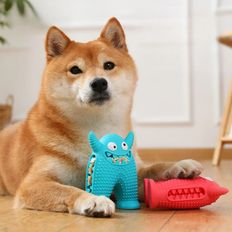 Hund mit Kauspielzeug: Ein Shiba Inu spielt mit einem blauen Monster-Kauspielzeug. Perfekt für Hunde, langlebig, zahnfreundlich, interaktiv.