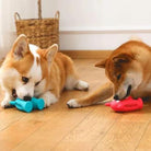 Zwei Hunde kauen auf bunten Kauspielzeugen auf Holzboden. Perfektes Hundespielzeug für Zahnpflege und Beschäftigung. Ideal für aktive Hunde.