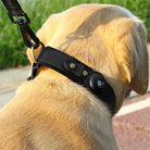 Hundehalsband mit AirTag-Halterung, robustes Leder, ideal für Hundeortung und Sicherheit, stilvolles Design, perfekt für aktive Hunde.