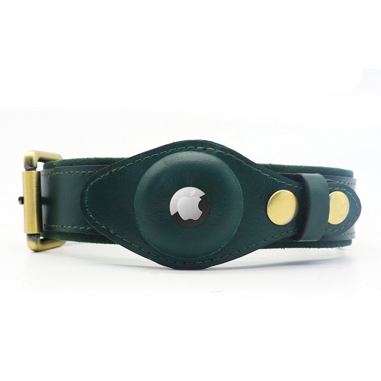 Grünes Hundehalsband mit integriertem Apple AirTag-Halter, ideal für Haustier-Tracking. Hochwertiges Leder, stilvoll und funktional.