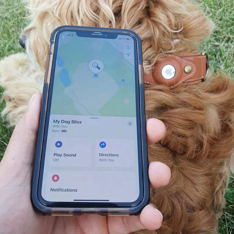 Hundehalsband mit AirTag-Halterung, ideal für GPS-Tracking. Perfekt für Haustiere, um Sicherheit und Standortverfolgung zu gewährleisten.
