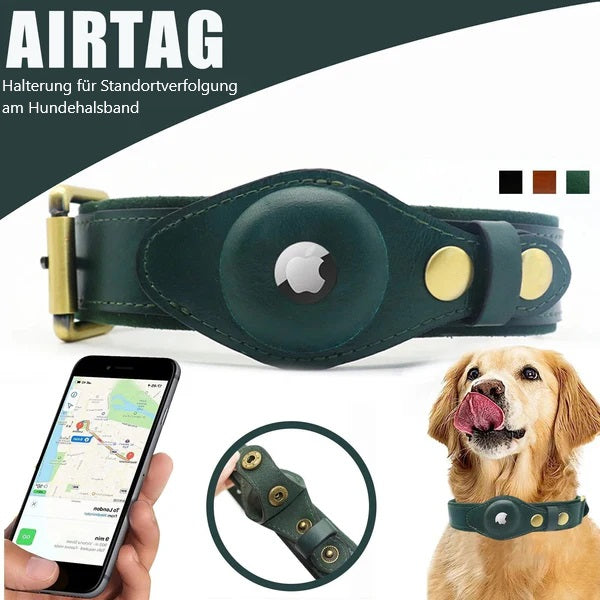 Grünes Hundehalsband mit Airtag-Halterung, ideal für GPS-Tracking. Robustes Design, perfekt für Hunde. Erhältlich in verschiedenen Farben.