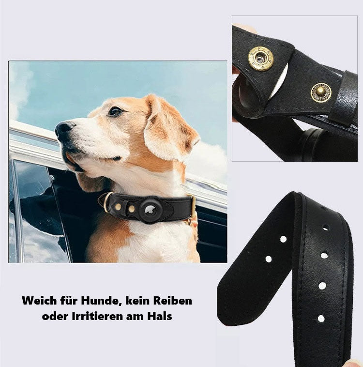 Hochwertiges Hundehalsband mit AirTag-Halterung, weich und komfortabel, ideal für Hunde. Perfekt für sicheres Tracking und stilvolles Design.