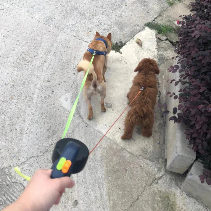 Doppelleine für Hunde, ideal für Spaziergänge mit zwei Hunden. Robuste, verstellbare Leine, verhindert Verheddern, komfortabler Griff.
