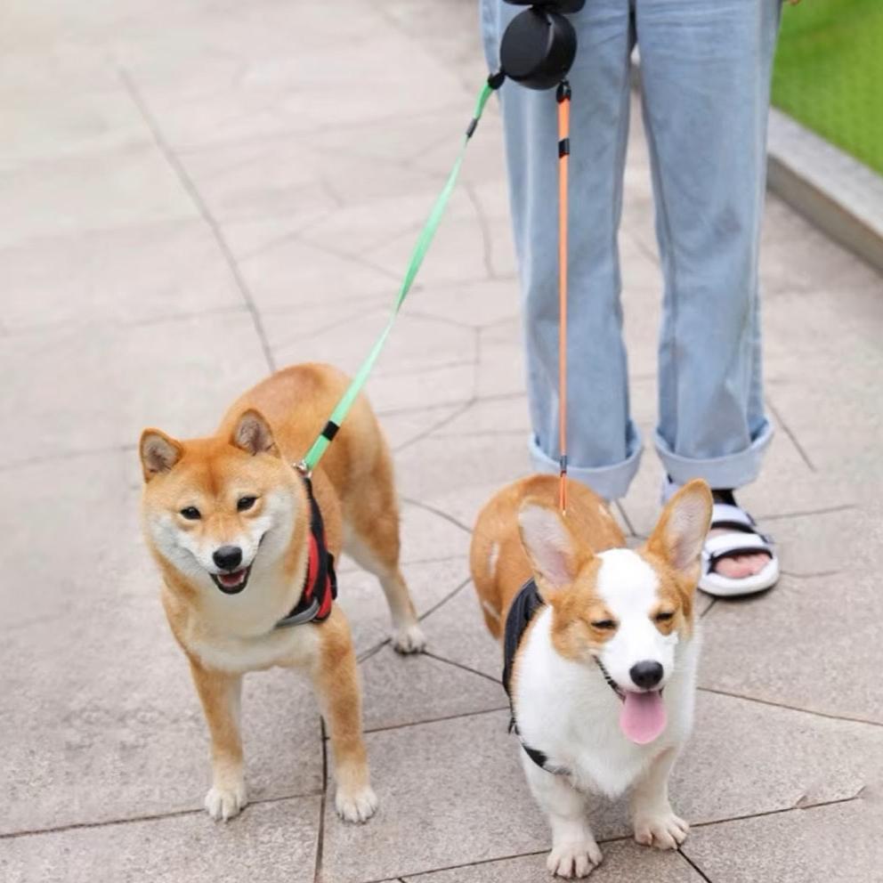 Zweifach-Hundeleine für zwei Hunde, ideal für Spaziergänge. Robuste Konstruktion, verstellbar, geeignet für kleine bis mittelgroße Hunde.