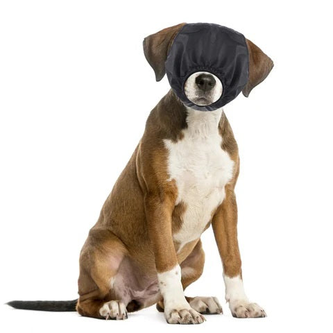 Hund mit schwarzer Kopfbedeckung, CalmTails, zur Beruhigung. Haustierbedarf, Stressreduktion, Hundezubehör, Entspannung für Hunde.