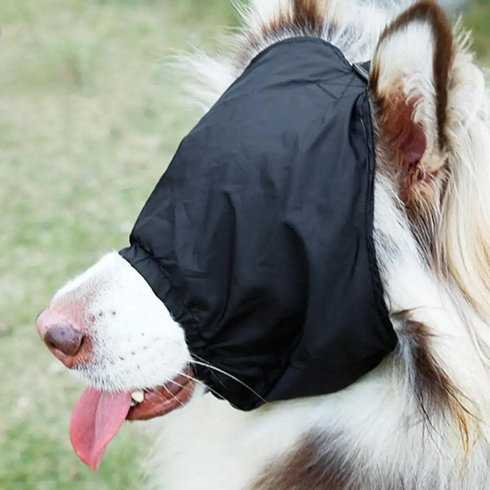 Hund mit schwarzer Augenmaske im Freien. Beruhigungsmaske für Hunde, Stressreduktion, Haustierzubehör, Outdoor-Hundebedarf.