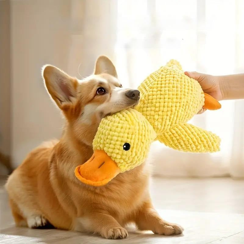 Corgi-Welpe spielt mit gelbem Plüsch-Entenspielzeug. Perfektes Hundespielzeug, weich und kuschelig, ideal für Haustierliebhaber und Hundebesitzer.