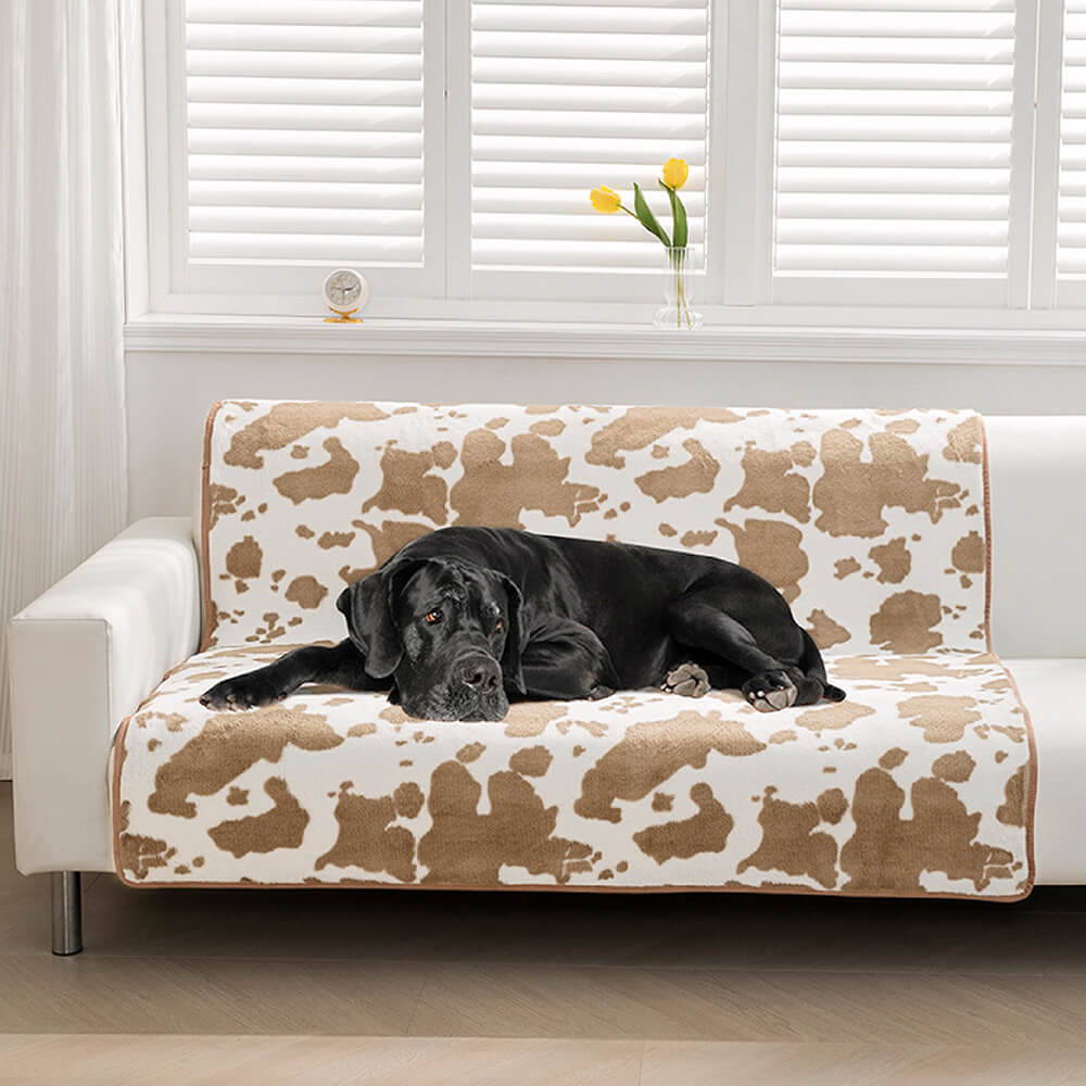 Hund auf braun-weißem Kuhmuster-Plüsch-Haustiermatte auf Sofa vor Fenster.