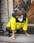 American Bully in gelber North Face Jacke sitzt vor Haustür. Hundemode, stylische Haustierkleidung, trendige Hundejacke, urbaner Haustierlook.