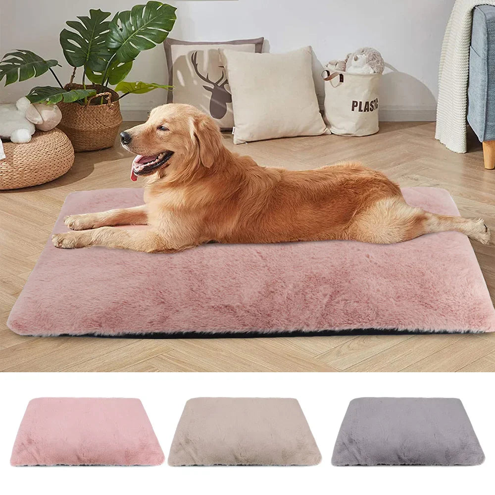 Golden Retriever auf rosa Hundebett, flauschig, rutschfest, waschbar, für Haustiere, Wohnzimmer.