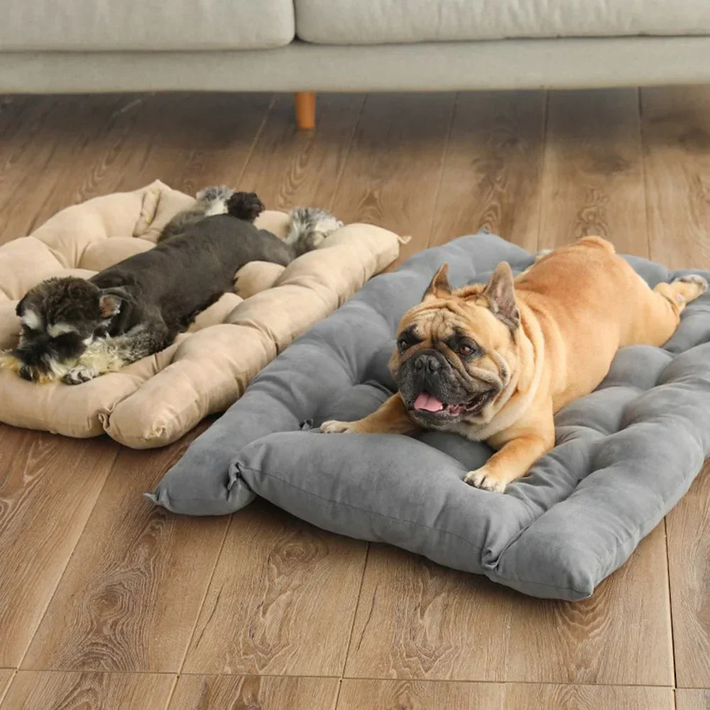 Zwei Hunde auf grauem und beigem Hundebett, gemütlich auf Holzboden liegend.