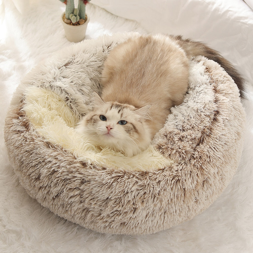 Flauschiges Katzenbett in Beige mit Katze, ideal für Haustierkomfort. Weiches, rundes Design, perfekt für Katzen zum Entspannen und Schlafen.