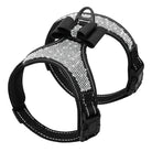 Schwarzes Hundegeschirr mit Glitzersteinen und Schleife, verstellbar, robust, stilvoll.
