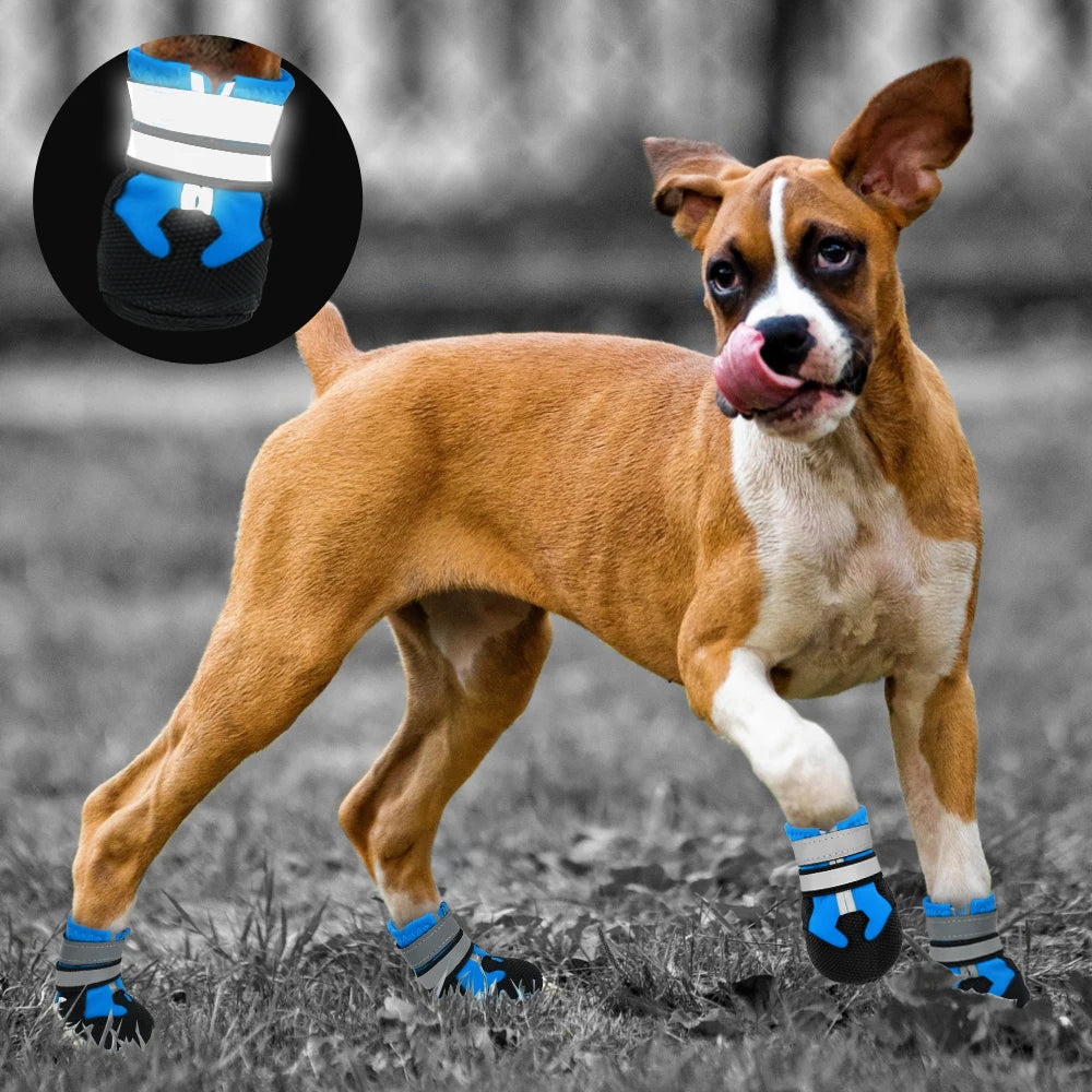 Boxerhund mit reflektierenden Hundeschuhen, ideal für Outdoor-Aktivitäten. Schutz vor Kälte und Verletzungen. Perfekt für aktive Hunde.