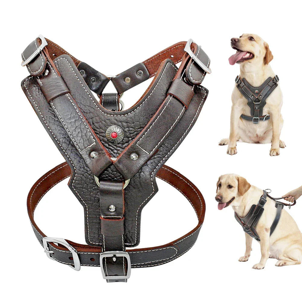 Hundegeschirr aus Leder, verstellbar, robust, braun, für mittelgroße Hunde, mit Metallschnallen.