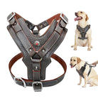 Hundegeschirr aus Leder, verstellbar, robust, braun, für mittelgroße Hunde, mit Metallschnallen.
