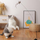Katze spielt mit interaktivem Katzenspielzeug, Angel mit Maus, im Wohnzimmer, Holzboden.