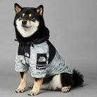 Shiba Inu in modischer Hundejacke, grau-schwarz, mit Kapuze. Perfekt für kaltes Wetter. Stilvolle Hundebekleidung, bequem und funktional.