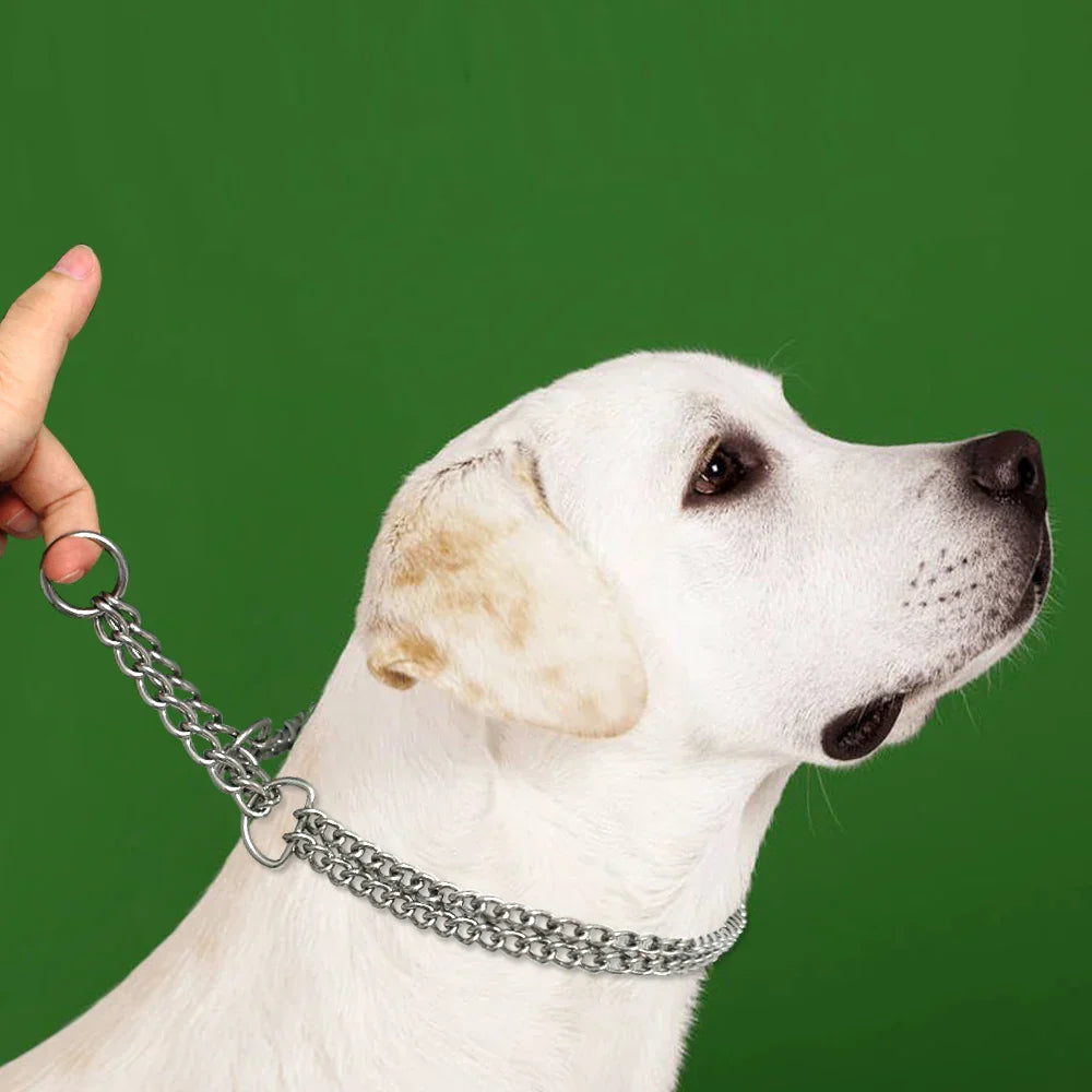 Weißer Hund mit silberner Kette, grüner Hintergrund, Hundehalsband, Haustierzubehör.