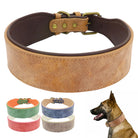 Hochwertiges Lederhalsband für Hunde, braun, verstellbar, robust, stilvoll, verschiedene Farben.