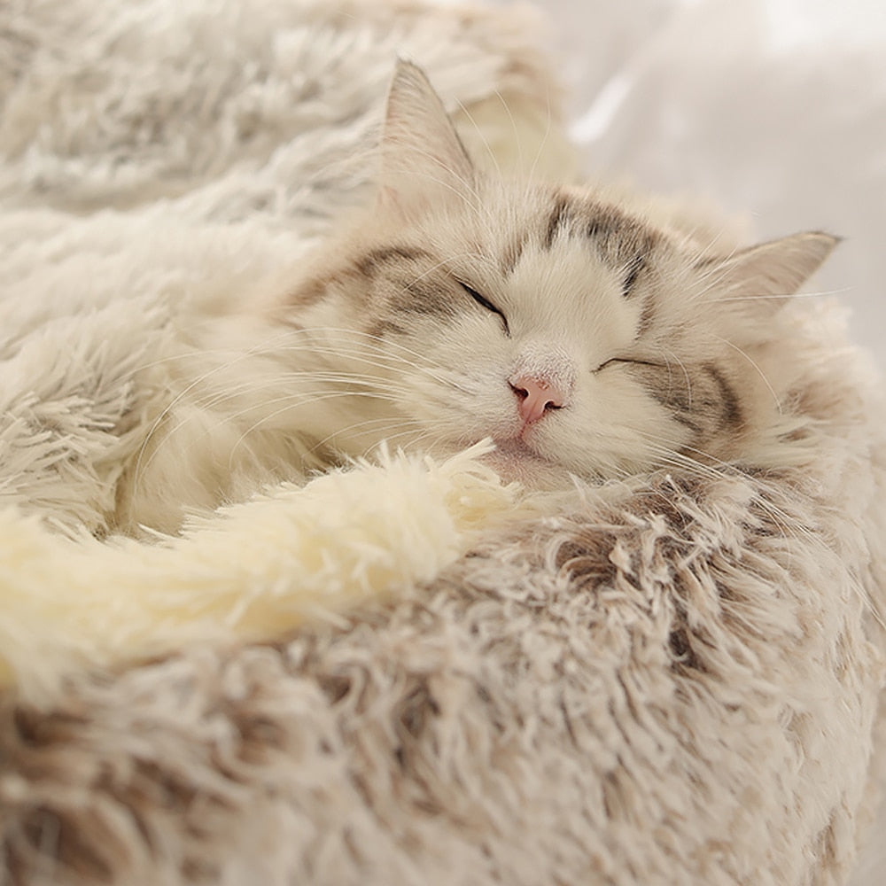 Schlafende Katze in weichem, flauschigem Bett. Entspannter Haustierkomfort, gemütliches Katzenbett, süße schlafende Katze, Tierzubehör.