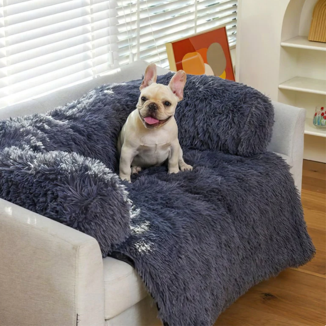 Französische Bulldogge auf anthrazitfarbenem, kuscheligem, wasserdichtem Hundesofa im Wohnzimmer.