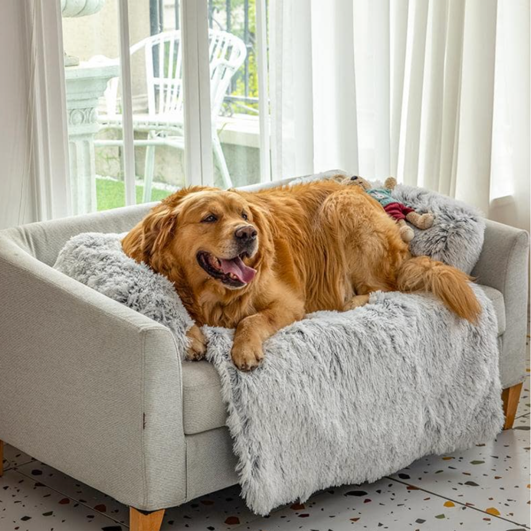 Goldener Retriever auf grauem, kuscheligem Hundesofa, wasserdicht, leicht waschbar, Anti-Stress.