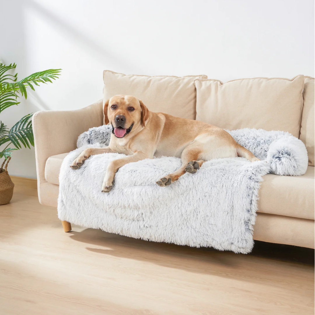Beiges Sofa mit grauem, kuscheligem Hundebett, wasserdicht, leicht waschbar, Anti-Stress.