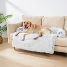 Beiges Sofa mit grauem, kuscheligem Hundebett, wasserdicht, leicht waschbar, Anti-Stress.