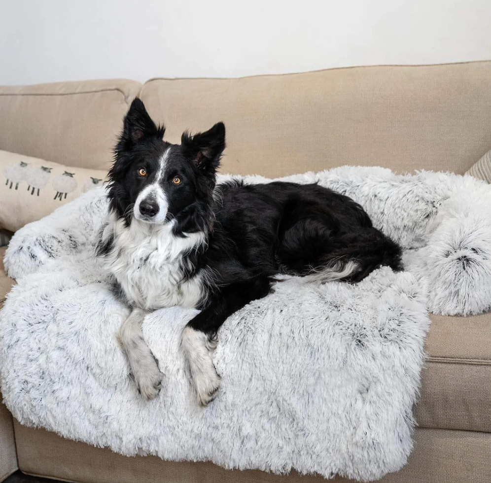 Schwarzer Hund auf grauem, flauschigem Hundesofa-Bett auf beigem Sofa.