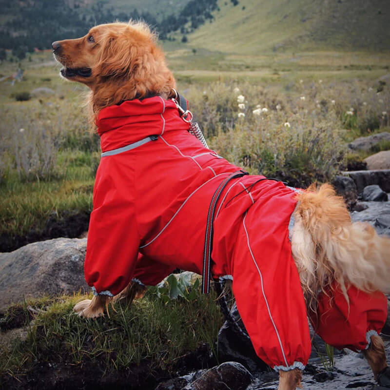 Wasserdichte Hundejacke für große Hunde, Outdoor, verstellbar, rot. Ideal für Spaziergänge bei Regen. Schützt vor Nässe und Kälte.