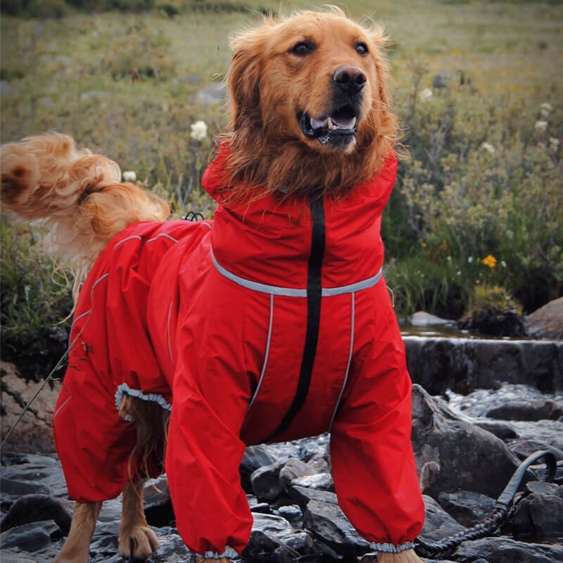 Großer Hund in roter, wasserdichter Outdoor-Jacke. Perfekt für Spaziergänge bei jedem Wetter. Verstellbare Hundebekleidung für optimalen Schutz.