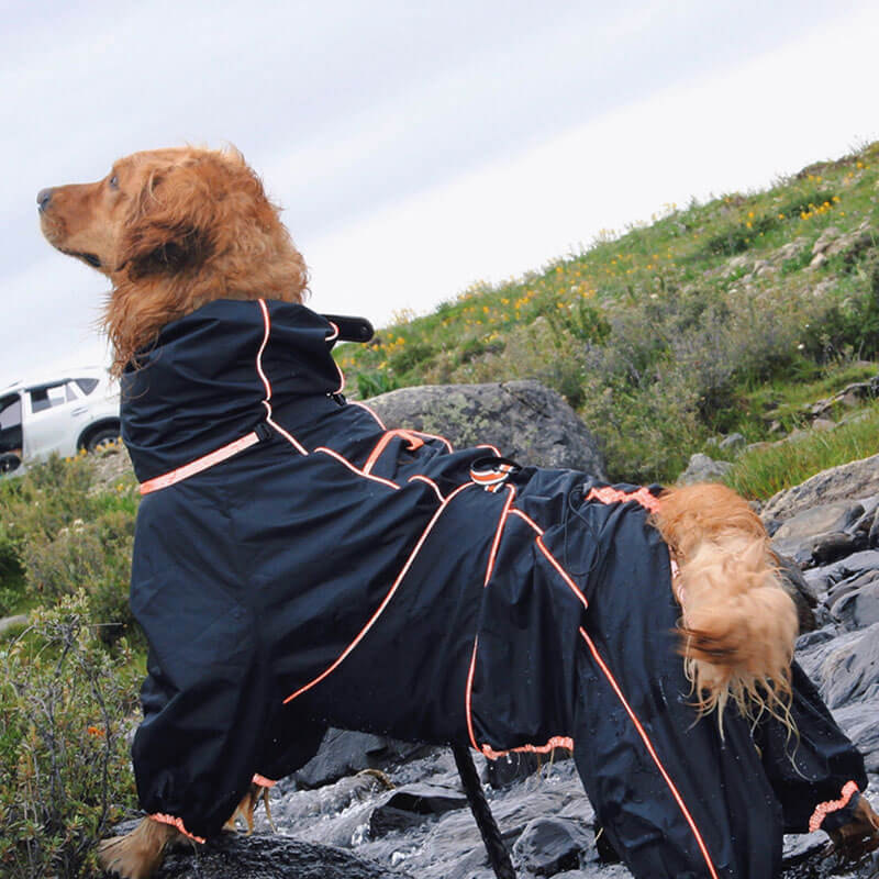 Wasserdichte Hundejacke für große Hunde, Outdoor, verstellbar, schützt vor Regen und Wind, ideal für Spaziergänge, robustes Design.
