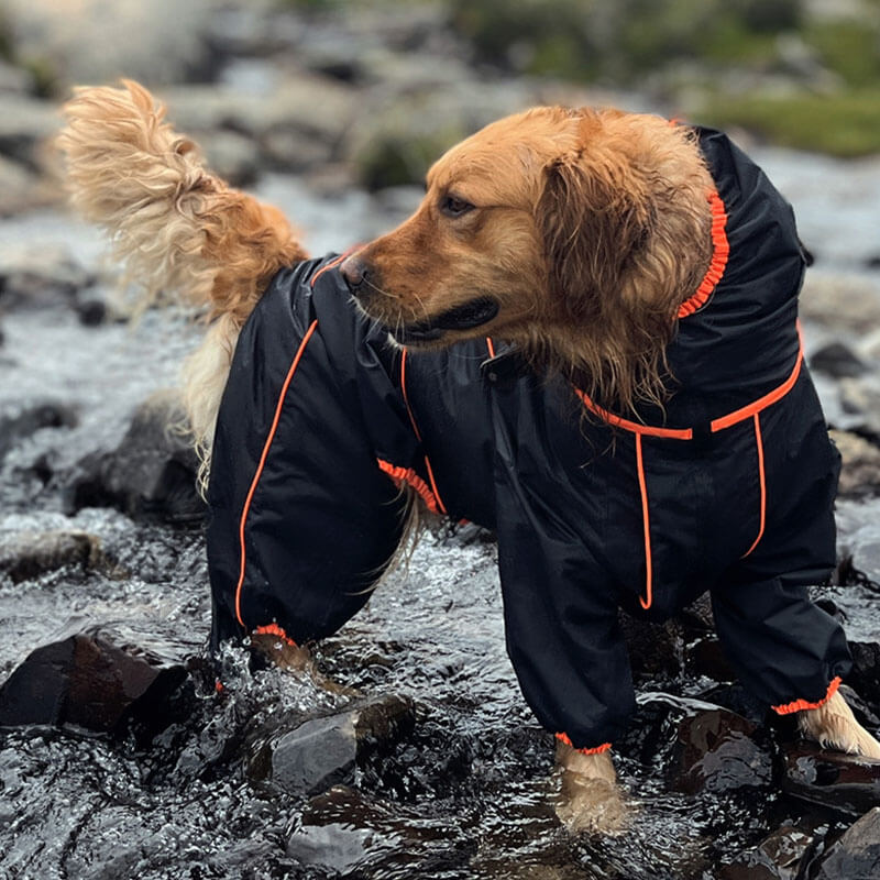 Großer Hund im wasserdichten, verstellbaren Outdoor-Hundemantel, ideal für Regenwetter. Perfekt für aktive Hunde, die Schutz und Komfort brauchen.
