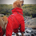 Wasserdichte Hundejacke für große Hunde, Outdoor, verstellbar, rot. Ideal für Spaziergänge bei Regen. Robustes Design, komfortabel und schützend.