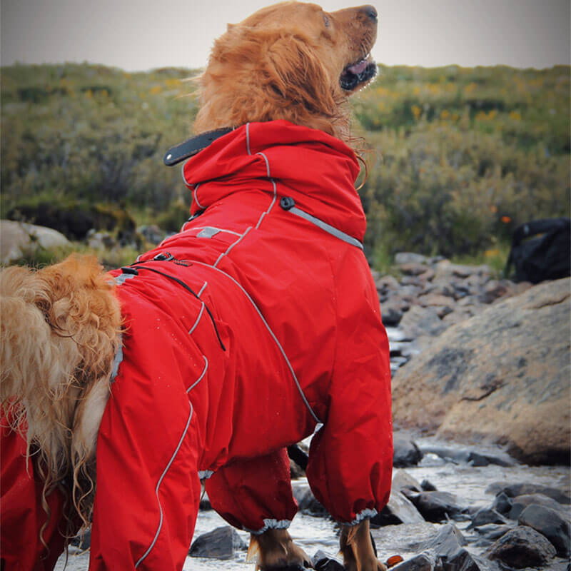 Wasserdichte Hundejacke für große Hunde, Outdoor, verstellbar, rot. Ideal für Spaziergänge bei Regen. Robustes Design, komfortabel und schützend.