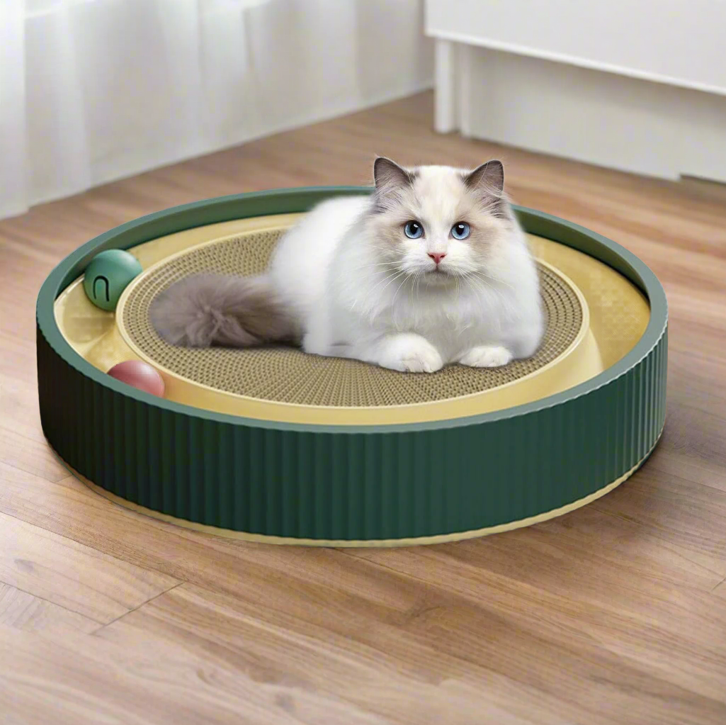 Katzenspielzeug mit Kratzbrett und Ballbahn, ideal für aktive Katzen. Fördert Spielspaß und Krallenpflege. Perfekt für Katzenliebhaber.